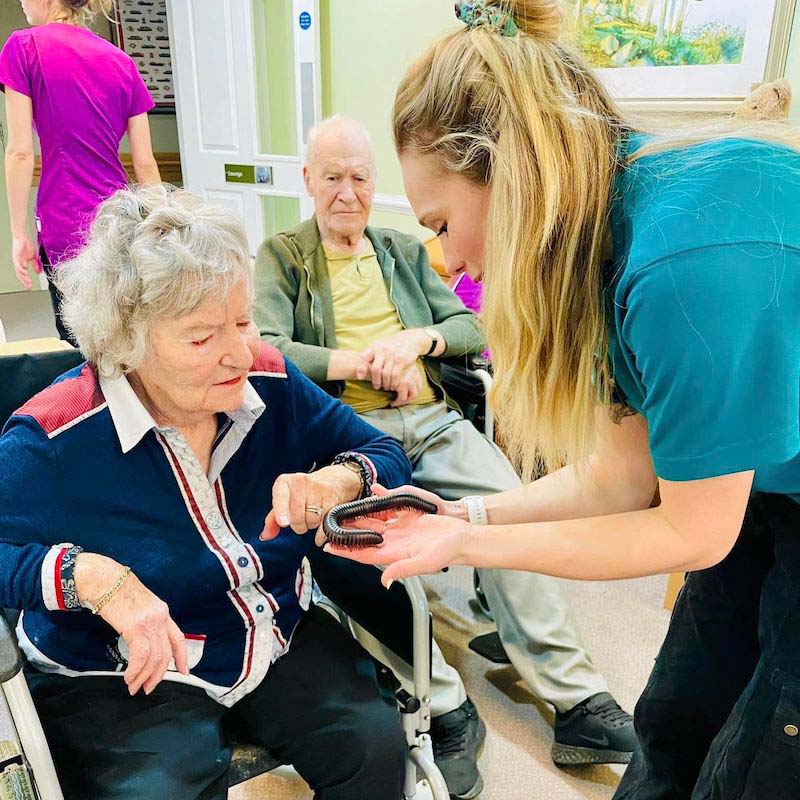 Scarlet House Care Home, Stroud by Care UK nursing jobs, care jobs, clinical & healthcare jobs and careers information by Nurses.co.uk