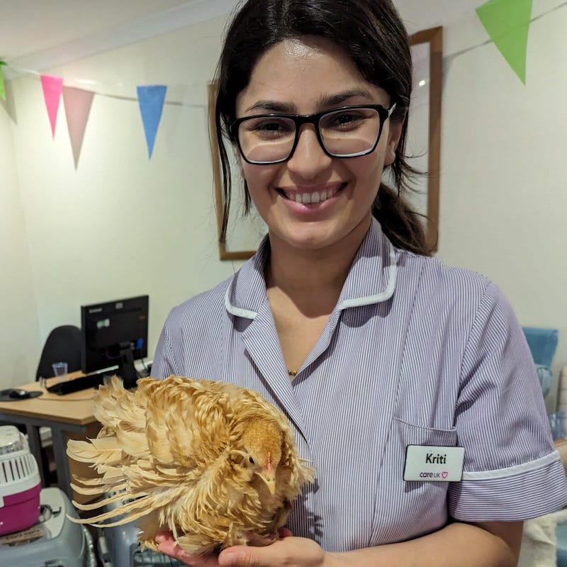 Norfolk House Care Home, Weybridge by Care UK nursing jobs, care jobs, clinical & healthcare jobs and careers information by Nurses.co.uk
