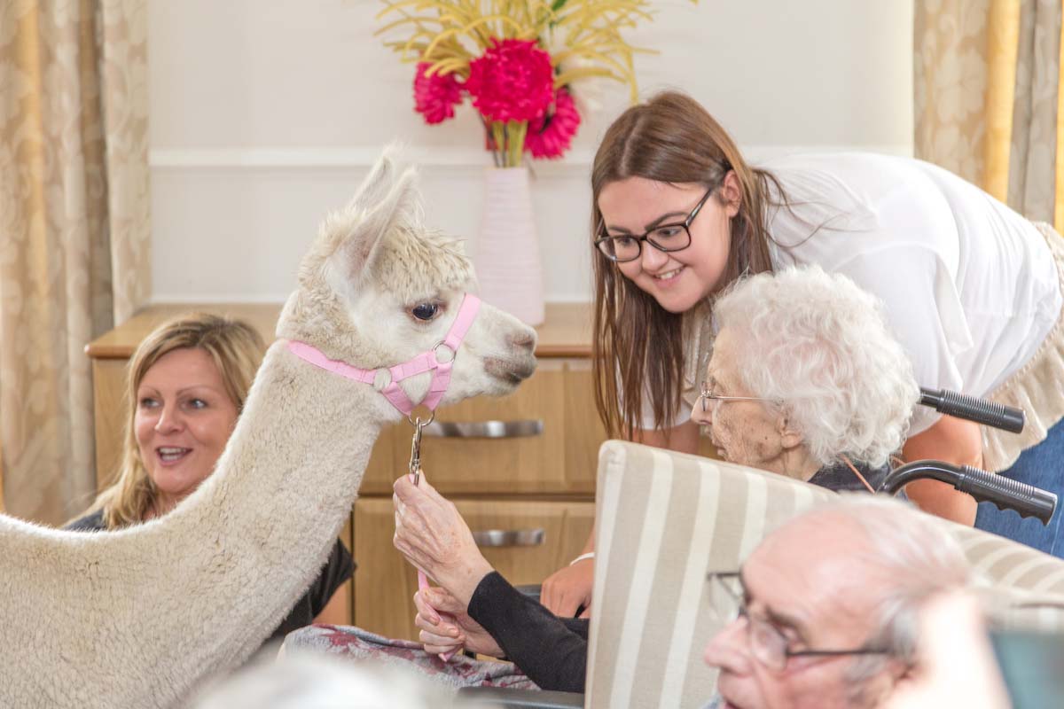 Kingston Court, Carlisle by Mariposa Care Group nursing jobs, care jobs, clinical & healthcare jobs and careers information by Nurses.co.uk