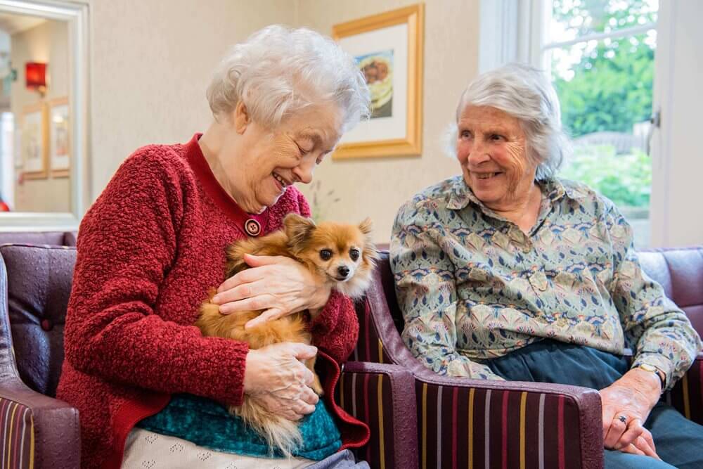 Cumberland Care Home, Mitcham, Surrey by Care UK nursing jobs, care jobs, clinical & healthcare jobs and careers information by Nurses.co.uk